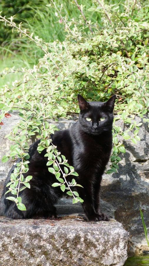 Clan Boucheron Louroux-Bourbonnais Dış mekan fotoğraf